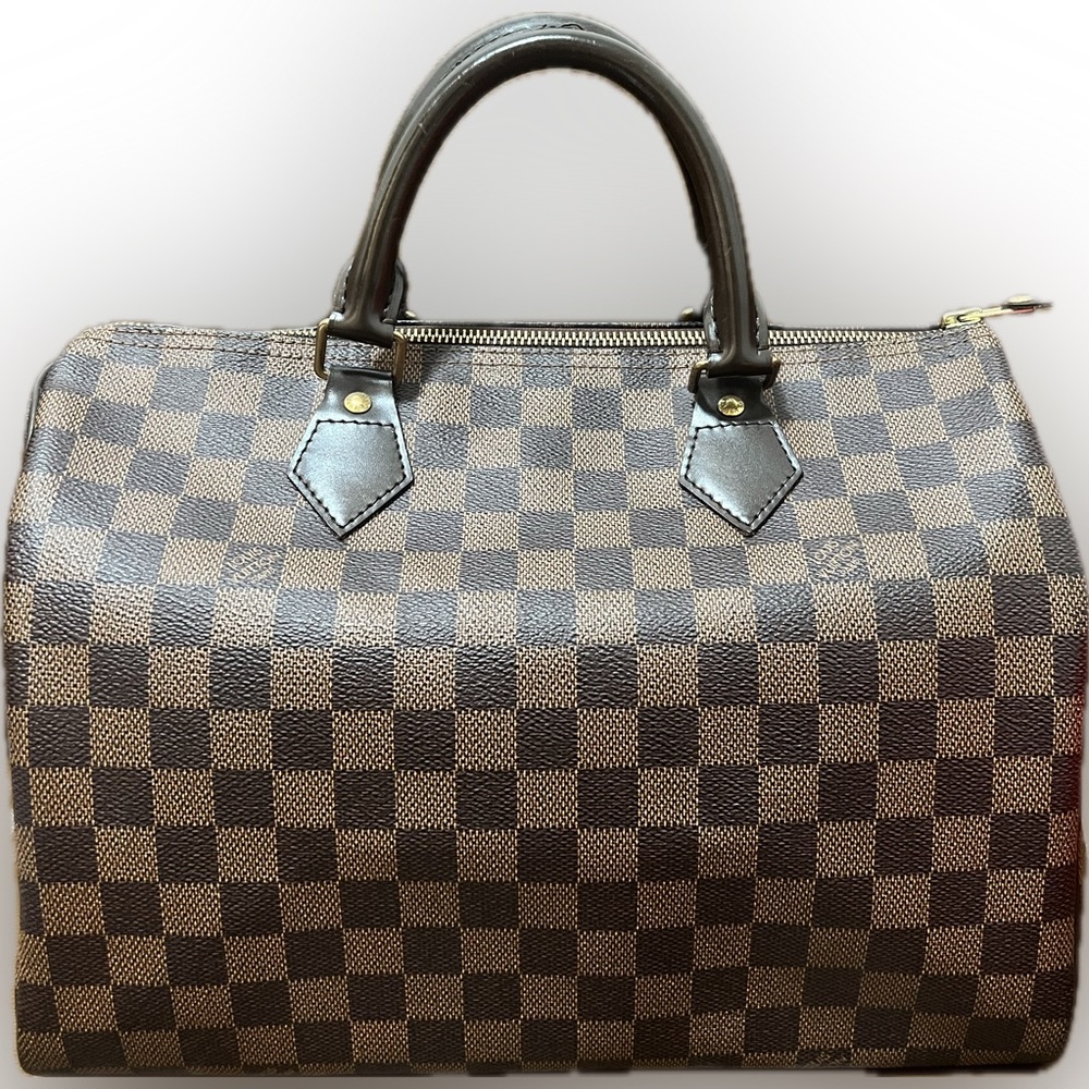 Louis Vuitton Brown and Tan Checkered Bag